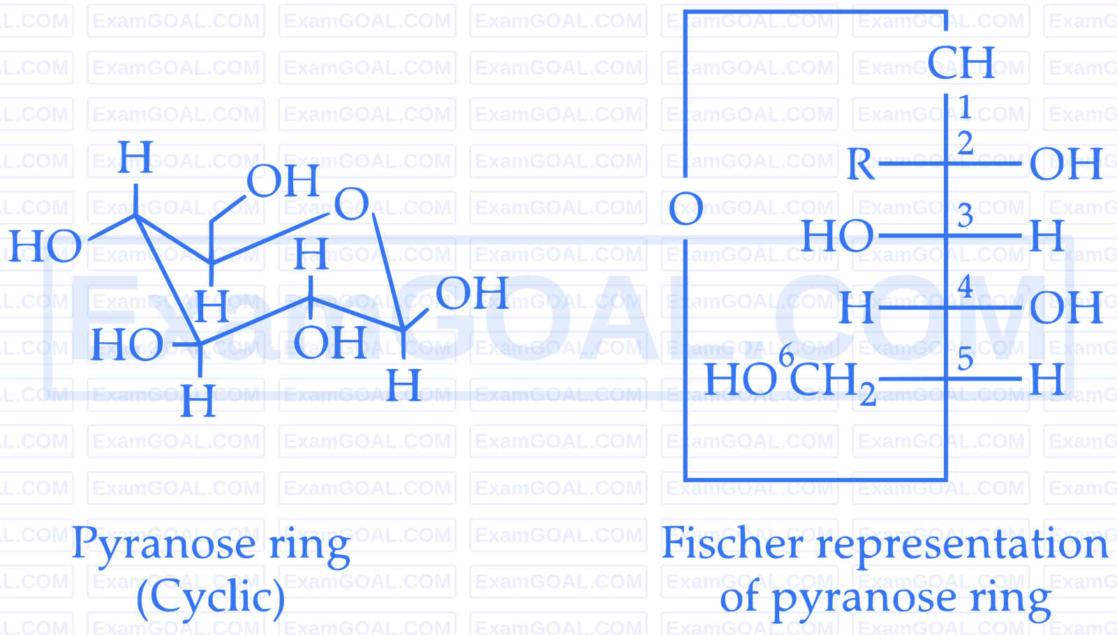 IIT-JEE 2011 Paper 2 Offline Chemistry - Biomolecules Question 11 English Explanation 3