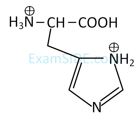 JEE Main 2019 (Online) 12th January Evening Slot Chemistry - Biomolecules Question 151 English Option 4