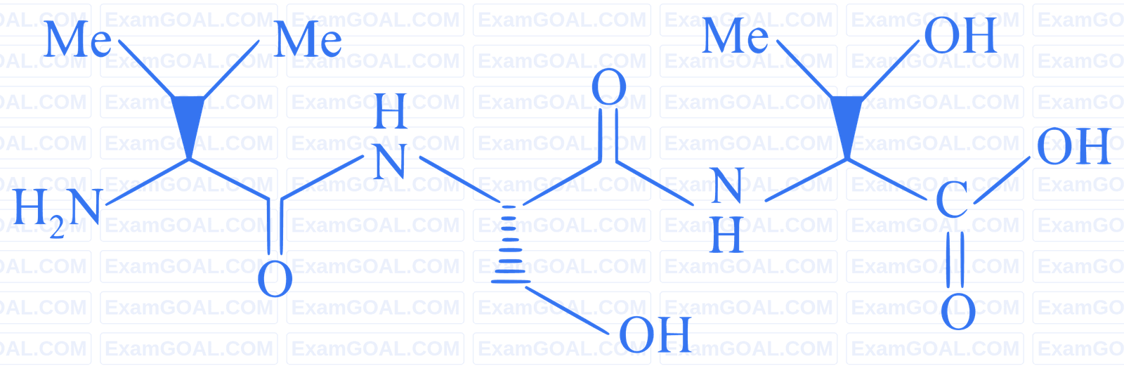 JEE Main 2019 (Online) 9th January Evening Slot Chemistry - Biomolecules Question 157 English