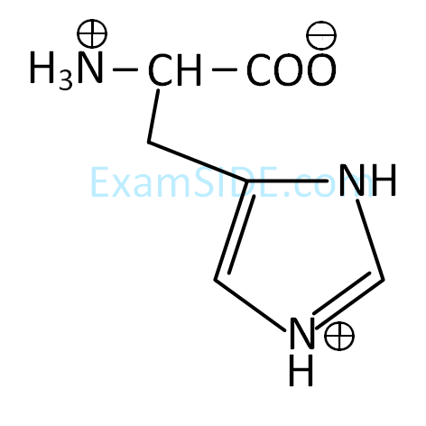 JEE Main 2019 (Online) 12th January Evening Slot Chemistry - Biomolecules Question 151 English Option 1