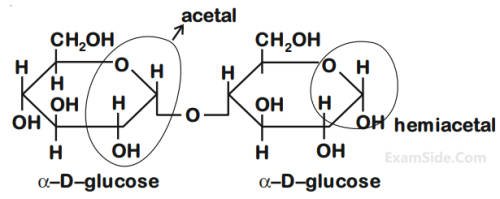 JEE Main 2020 (Online) 4th September Morning Slot Chemistry - Biomolecules Question 132 English Explanation