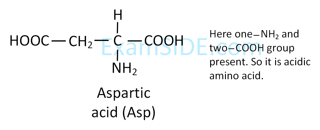 JEE Main 2019 (Online) 9th January Morning Slot Chemistry - Biomolecules Question 158 English Explanation 2