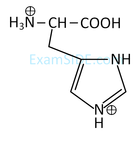 JEE Main 2019 (Online) 12th January Evening Slot Chemistry - Biomolecules Question 151 English Option 2