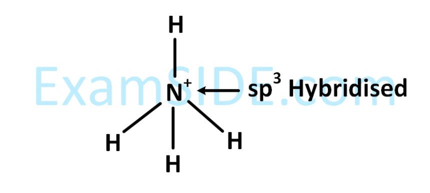 AIEEE 2011 Chemistry - Chemical Bonding & Molecular Structure Question 233 English Explanation 3