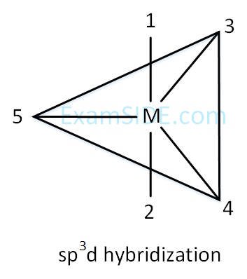AIEEE 2004 Chemistry - Chemical Bonding & Molecular Structure Question 246 English Explanation 4