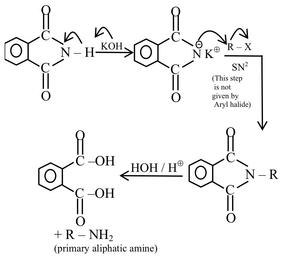 JEE Main 2021 (Online) 25th July Morning Shift Chemistry - Compounds Containing Nitrogen Question 147 English Explanation