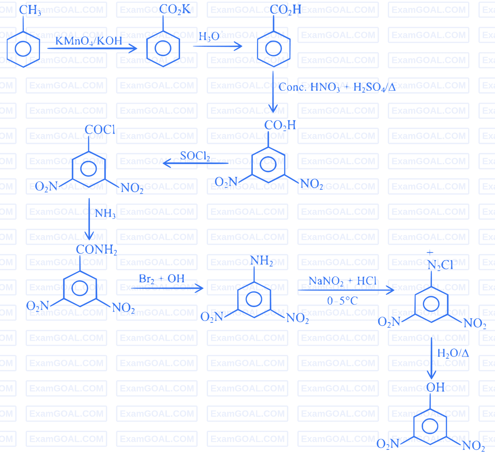 JEE Advanced 2024 Paper 1 Online Chemistry - Compounds Containing Nitrogen Question 9 English Explanation 4
