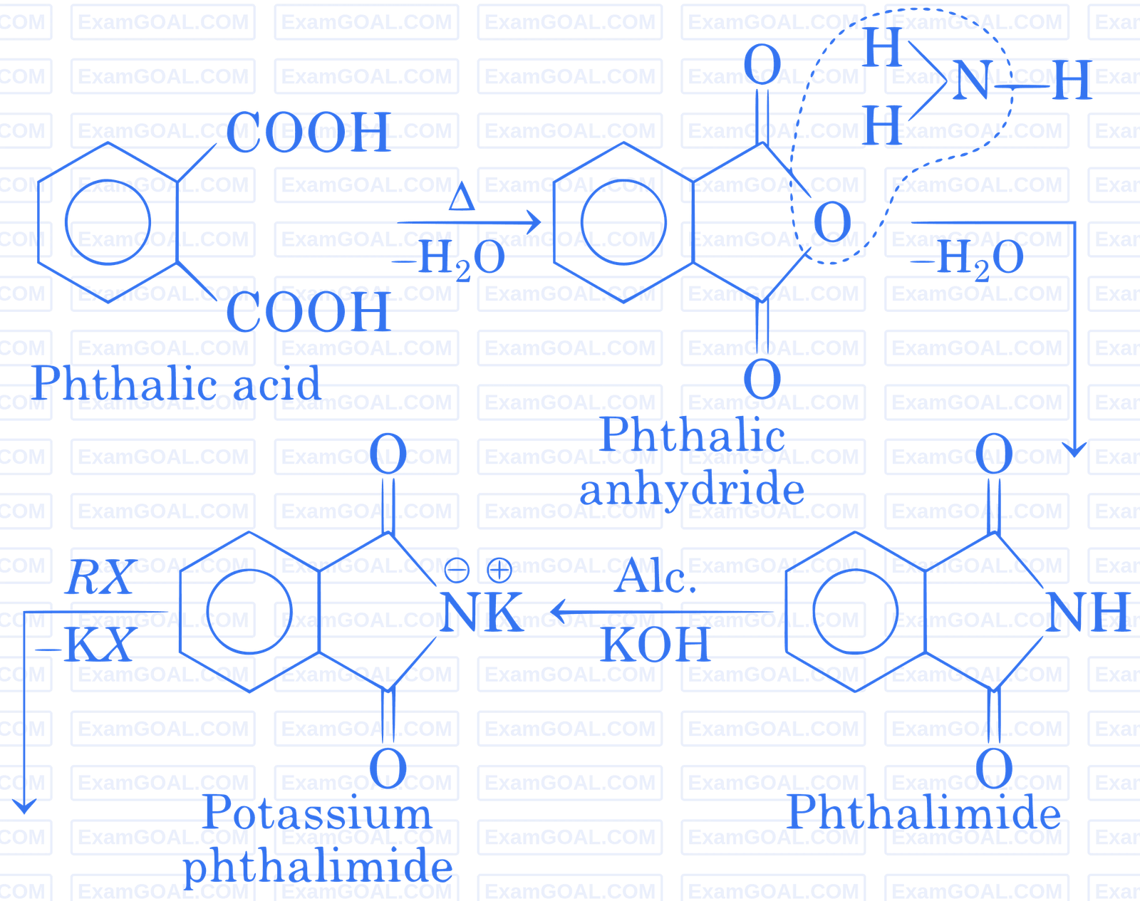 JEE Main 2020 (Online) 6th September Evening Slot Chemistry - Compounds Containing Nitrogen Question 177 English Explanation 1
