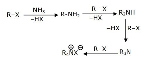 JEE Main 2021 (Online) 16th March Evening Shift Chemistry - Compounds Containing Nitrogen Question 163 English Explanation