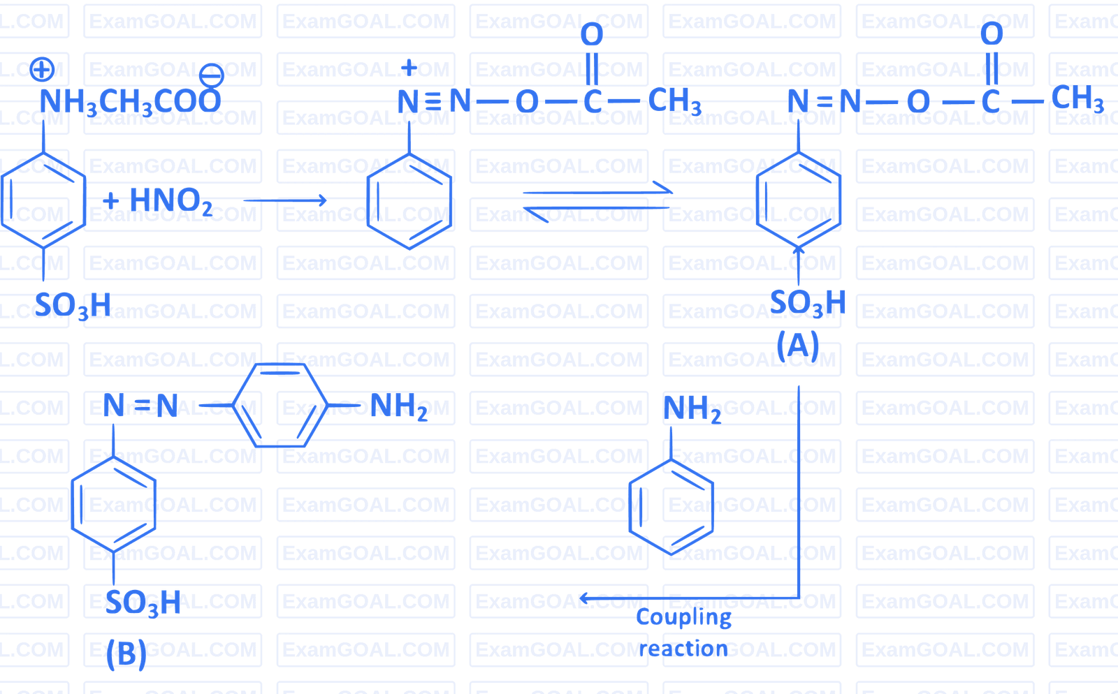 JEE Main 2018 (Online) 16th April Morning Slot Chemistry - Compounds Containing Nitrogen Question 220 English Explanation