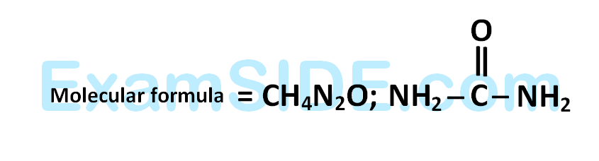 AIEEE 2005 Chemistry - Compounds Containing Nitrogen Question 236 English Explanation 1