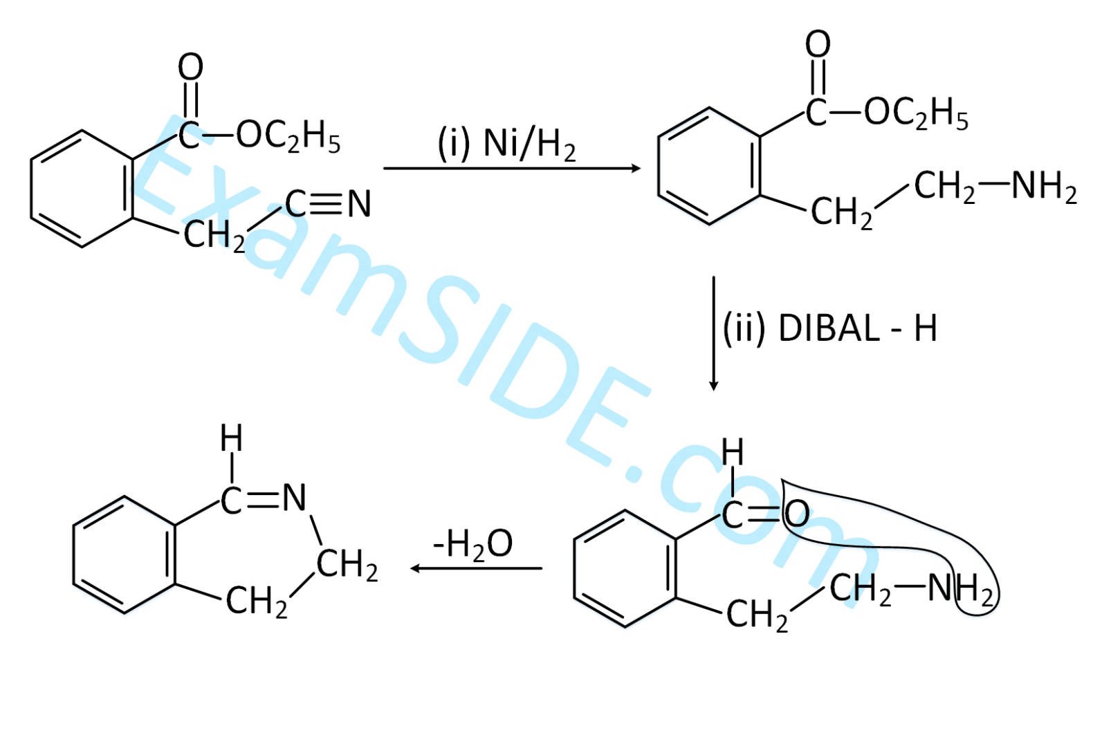 JEE Main 2019 (Online) 11th January Morning Slot Chemistry - Compounds Containing Nitrogen Question 208 English Explanation