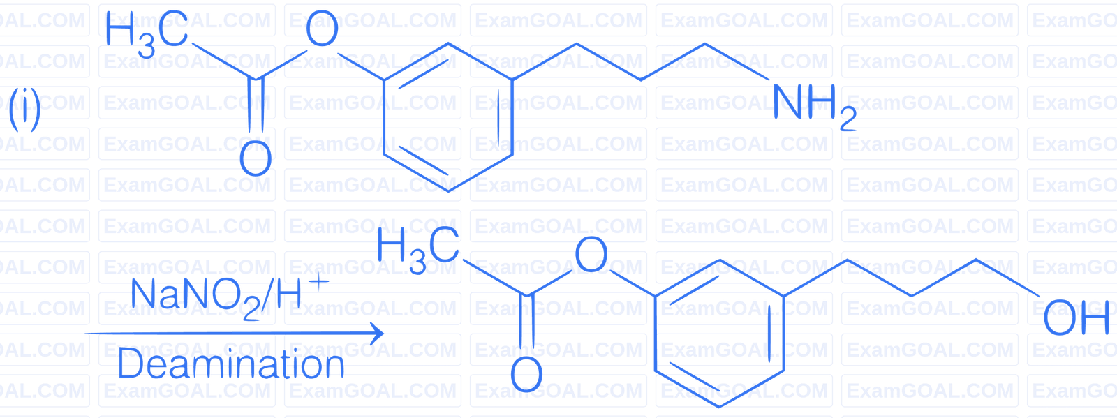JEE Main 2019 (Online) 12th January Evening Slot Chemistry - Compounds Containing Nitrogen Question 205 English Explanation 1