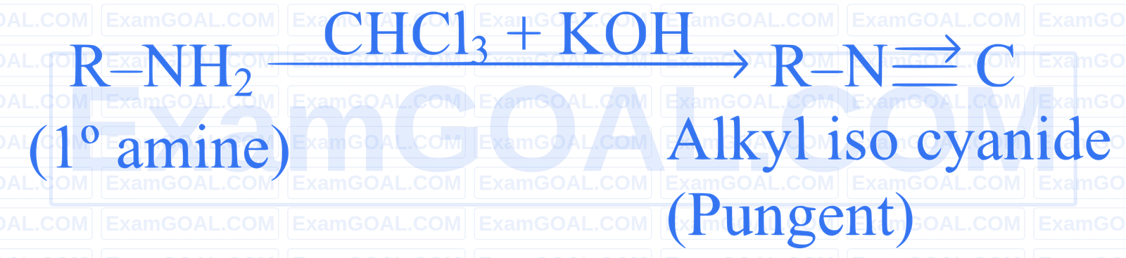JEE Main 2025 (Online) 7th April Morning Shift Chemistry - Compounds Containing Nitrogen Question 20 English Explanation