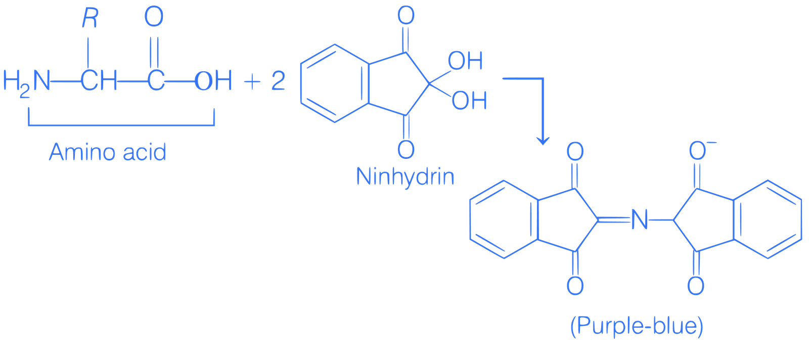 JEE Main 2021 (Online) 20th July Morning Shift Chemistry - Compounds Containing Nitrogen Question 153 English Explanation