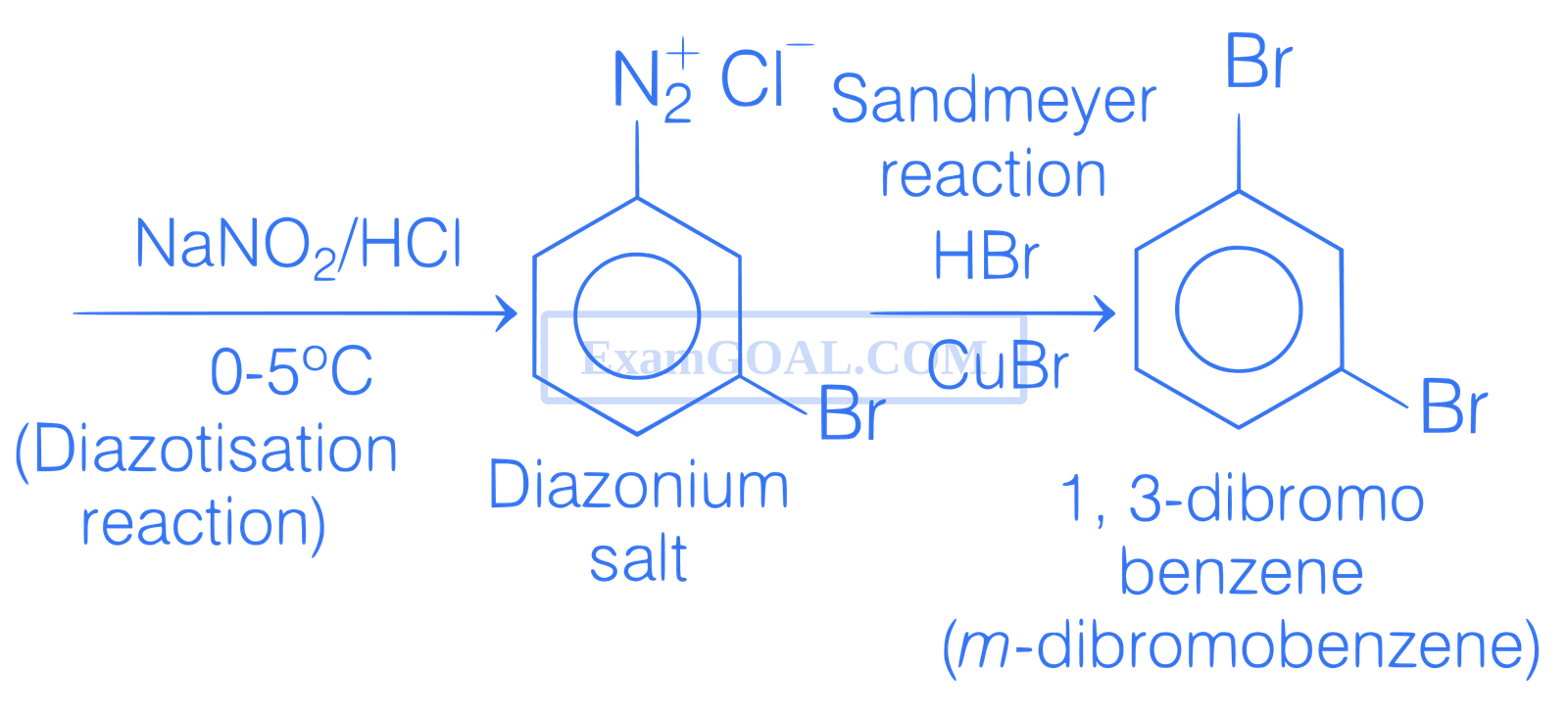 JEE Main 2021 (Online) 24th February Evening Shift Chemistry - Compounds Containing Nitrogen Question 173 English Explanation 2