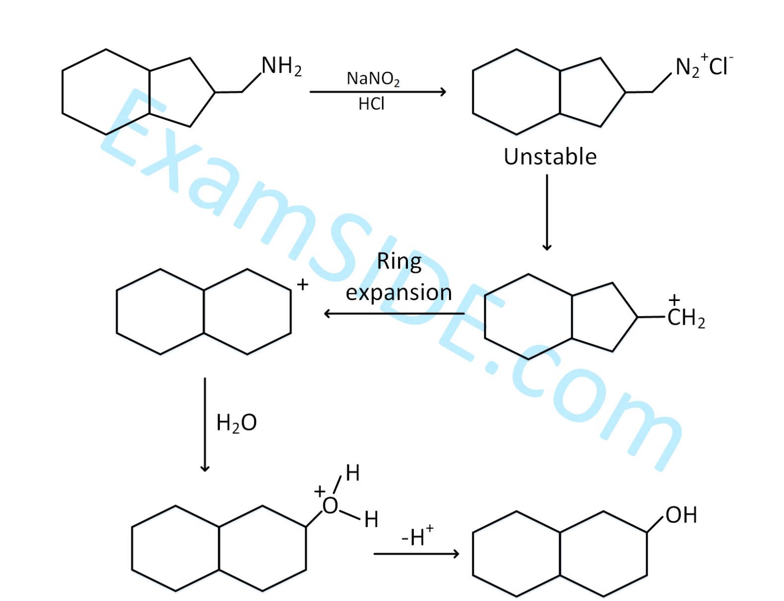 JEE Main 2019 (Online) 10th January Morning Slot Chemistry - Compounds Containing Nitrogen Question 203 English Explanation