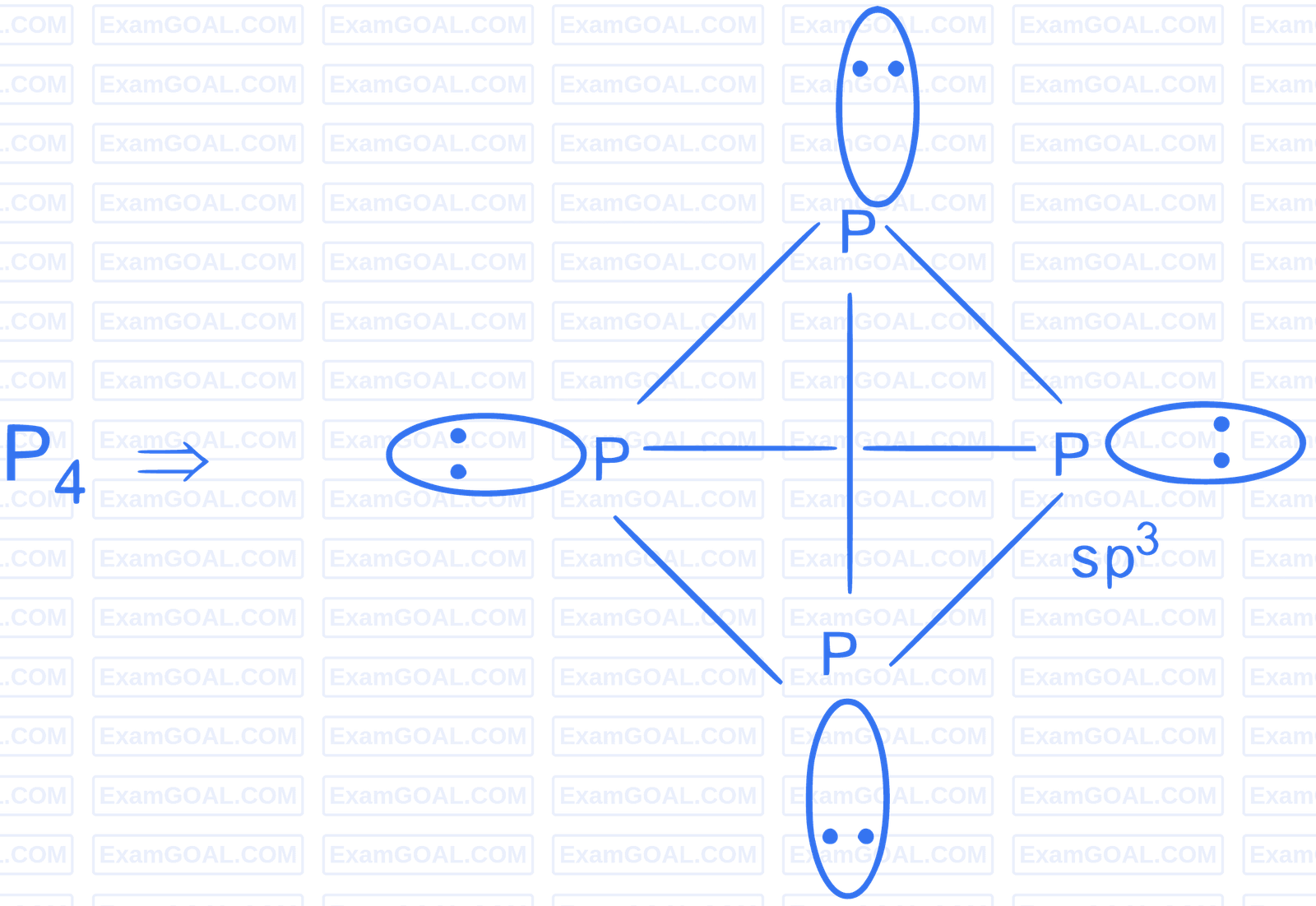 JEE Advanced 2024 Paper 2 Online Chemistry - Coordination Compounds Question 11 English Explanation 9