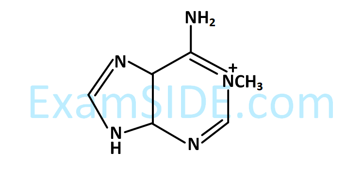 JEE Main 2019 (Online) 8th April Evening Slot Chemistry - Haloalkanes and Haloarenes Question 145 English Option 2