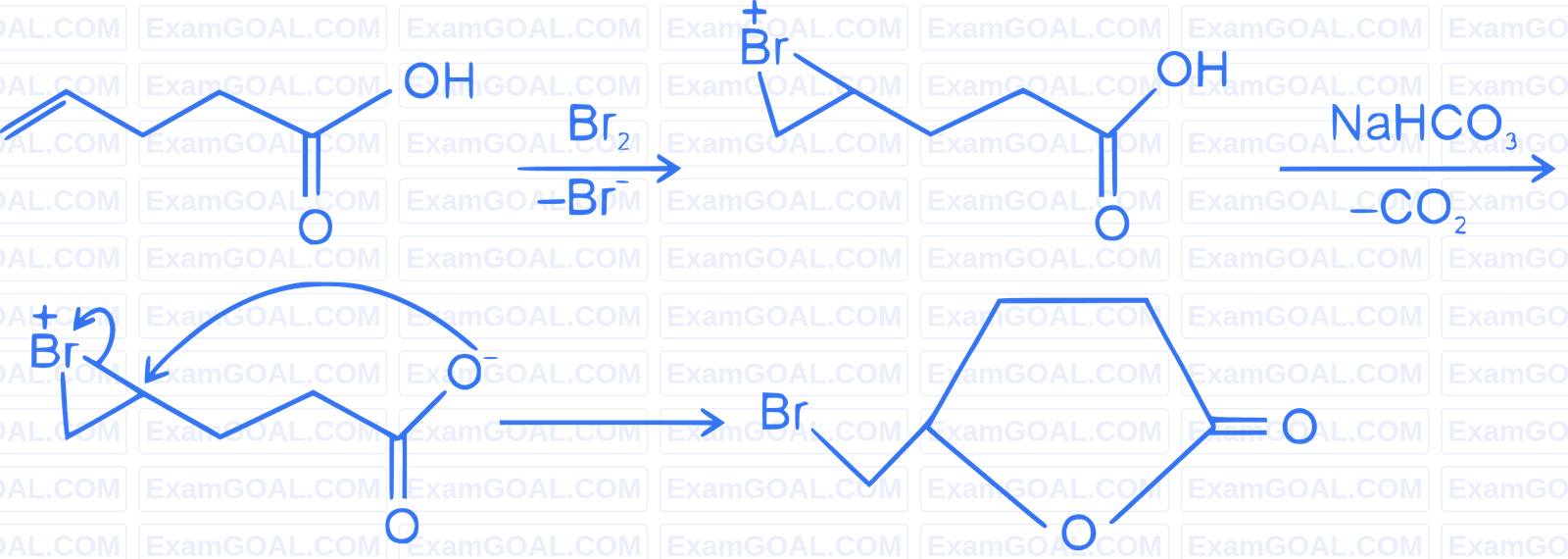 JEE Main 2023 (Online) 8th April Evening Shift Chemistry - Haloalkanes and Haloarenes Question 58 English Explanation