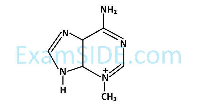 JEE Main 2019 (Online) 8th April Evening Slot Chemistry - Haloalkanes and Haloarenes Question 145 English Option 1