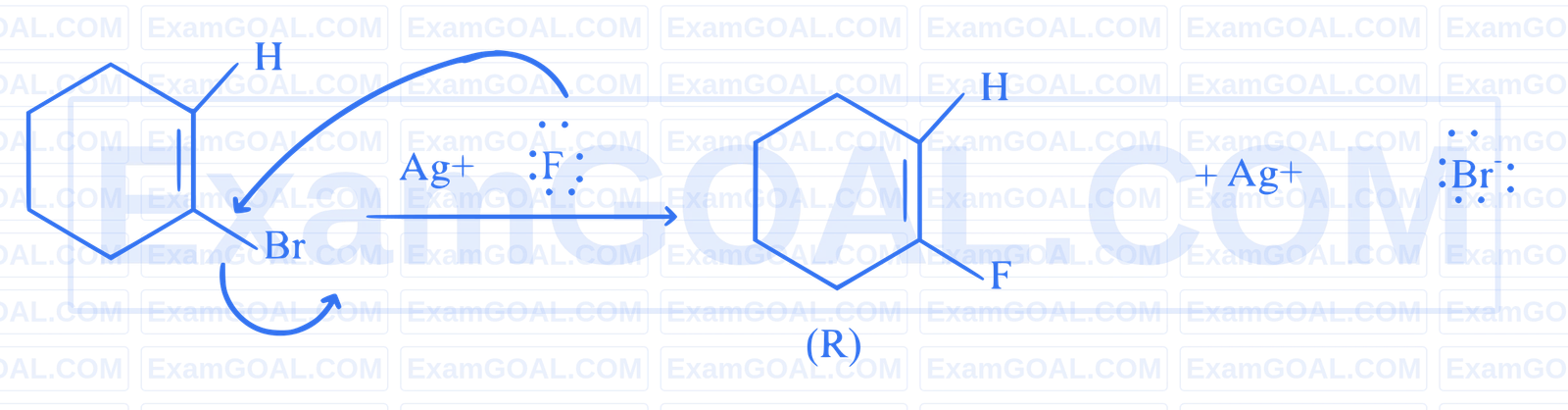 JEE Advanced 2025 Paper 1 Online Chemistry - Haloalkanes and Haloarenes Question 1 English Explanation 6