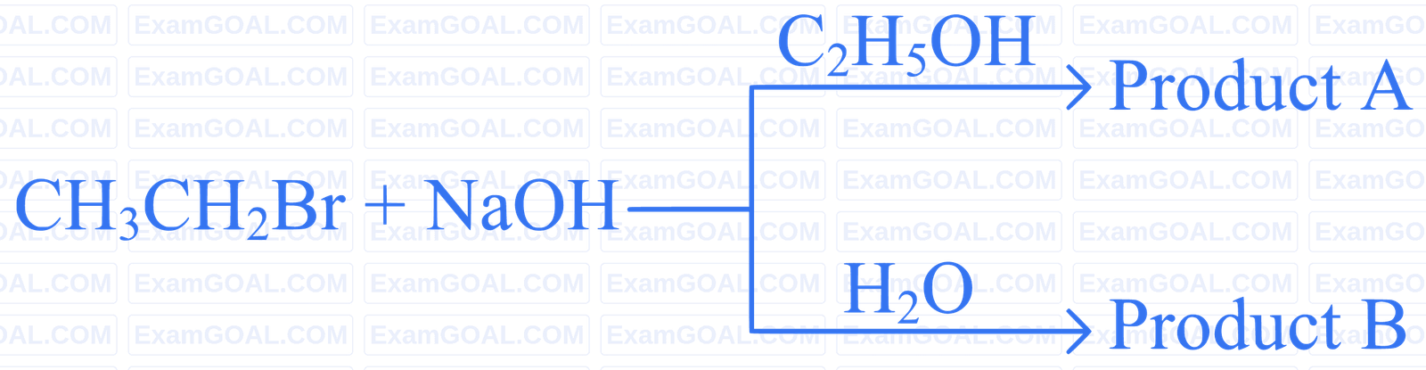 JEE Main 2024 (Online) 31st January Morning Shift Chemistry - Haloalkanes and Haloarenes Question 49 English