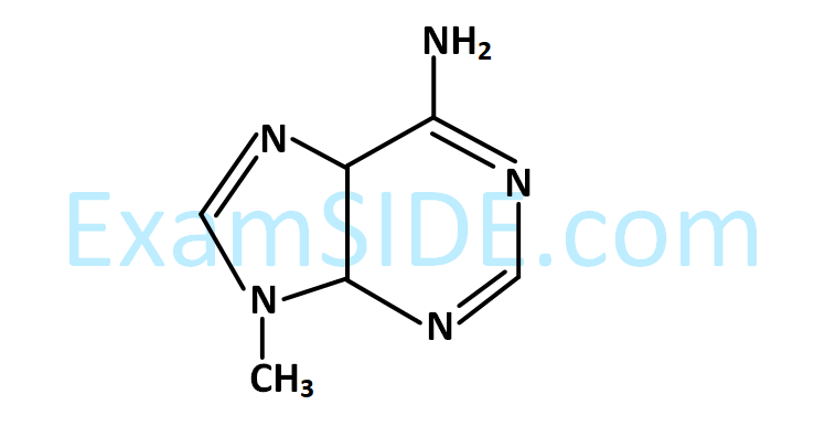 JEE Main 2019 (Online) 8th April Evening Slot Chemistry - Haloalkanes and Haloarenes Question 145 English Option 4