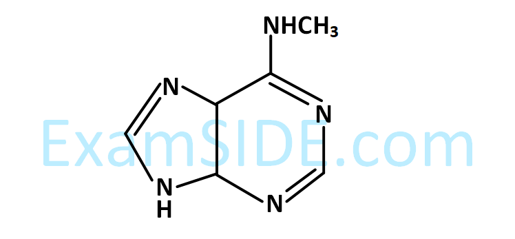 JEE Main 2019 (Online) 8th April Evening Slot Chemistry - Haloalkanes and Haloarenes Question 145 English Option 3