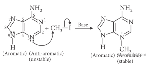 JEE Main 2019 (Online) 8th April Evening Slot Chemistry - Haloalkanes and Haloarenes Question 145 English Explanation