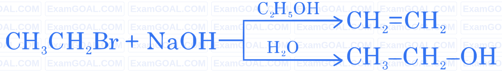 JEE Main 2024 (Online) 31st January Morning Shift Chemistry - Haloalkanes and Haloarenes Question 49 English Explanation