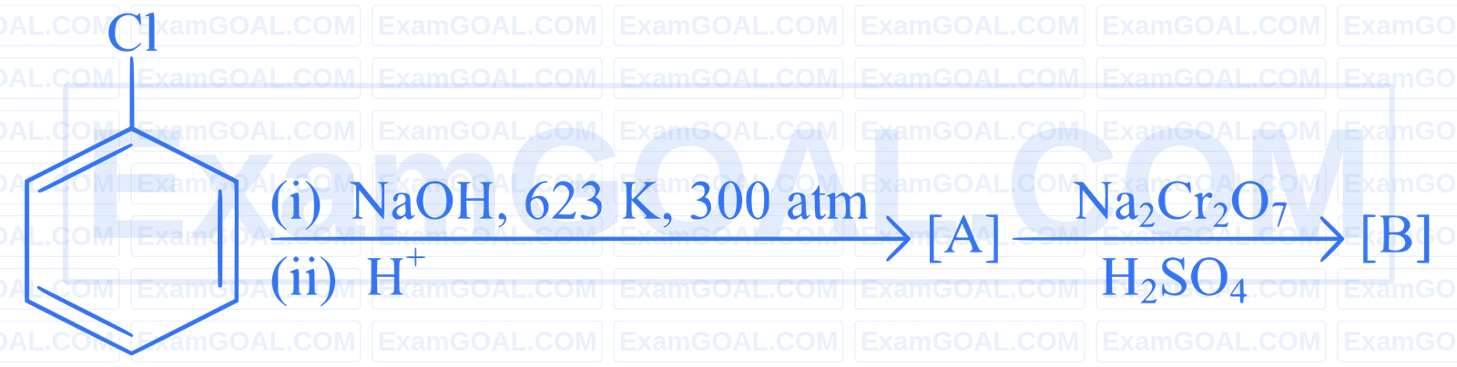 JEE Main 2025 (Online) 23rd January Evening Shift Chemistry - Haloalkanes and Haloarenes Question 25 English
