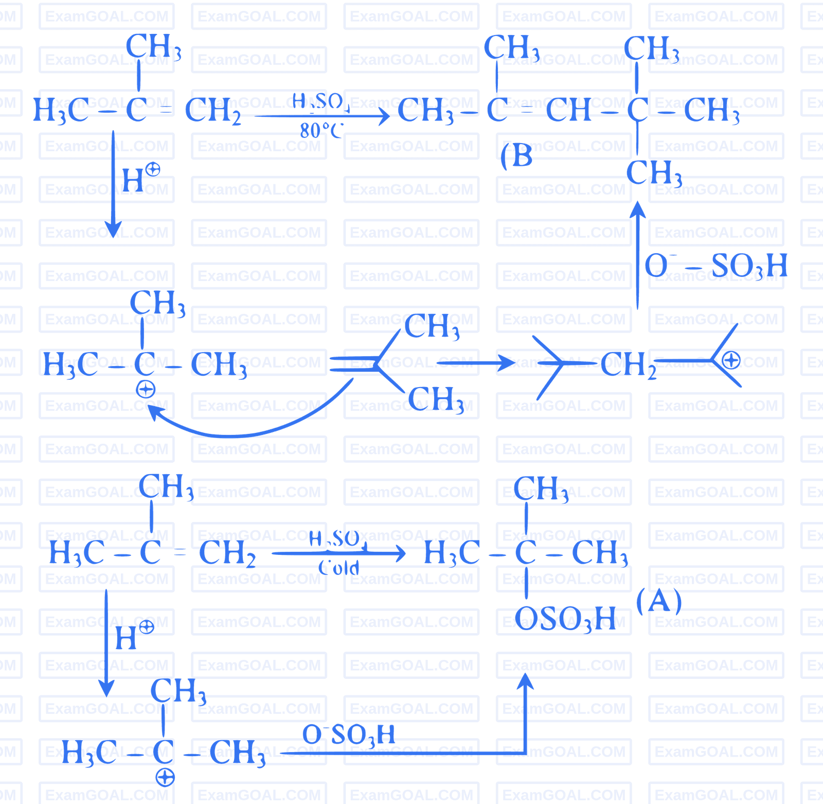 JEE Main 2023 (Online) 30th January Morning Shift Chemistry - Hydrocarbons Question 65 English Explanation