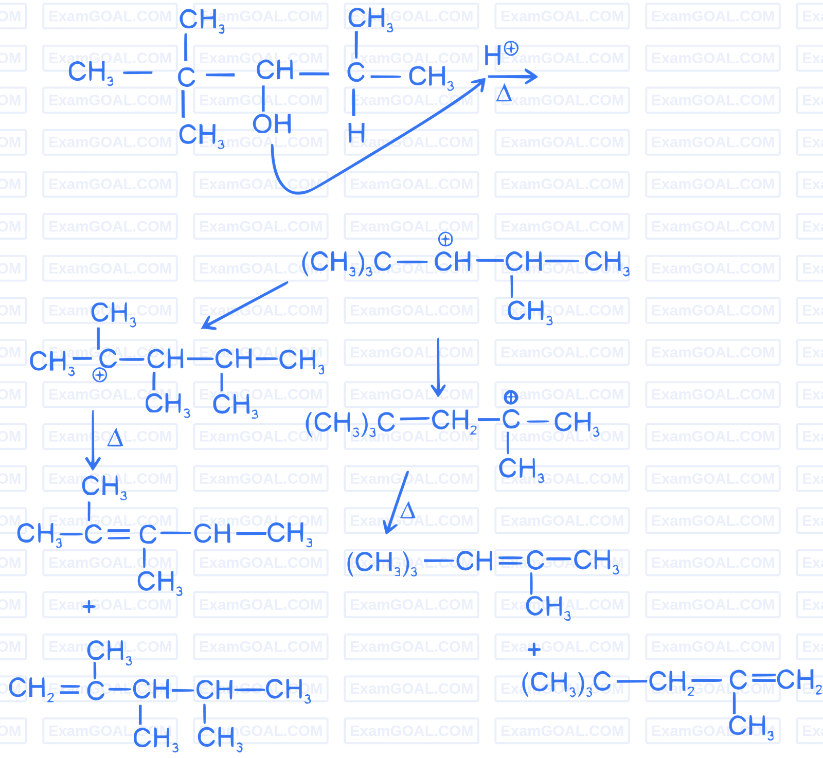 JEE Main 2023 (Online) 13th April Morning Shift Chemistry - Hydrocarbons Question 56 English Explanation