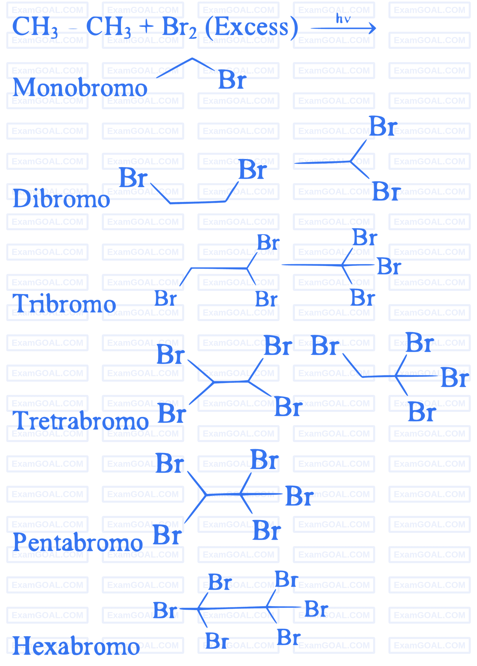 JEE Main 2023 (Online) 6th April Morning Shift Chemistry - Hydrocarbons Question 51 English Explanation