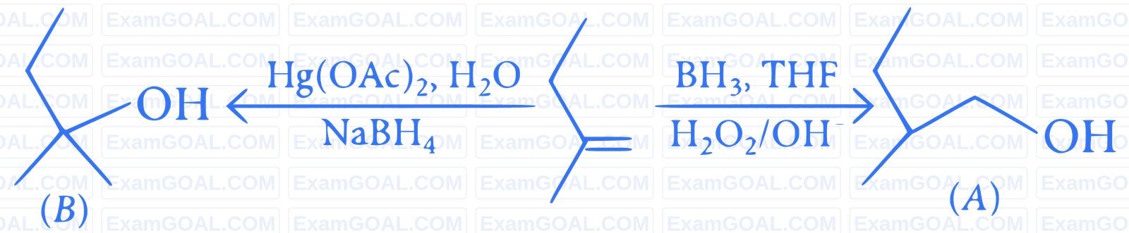 JEE Main 2023 (Online) 24th January Evening Shift Chemistry - Hydrocarbons Question 61 English Explanation
