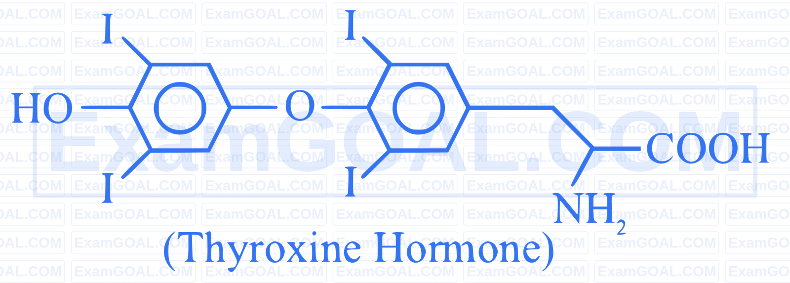 JEE Main 2025 (Online) 7th April Morning Shift Chemistry - Some Basic Concepts of Chemistry Question 20 English Explanation
