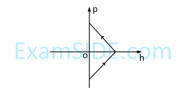 JEE Main 2019 (Online) 9th April Morning Slot Physics - Center of Mass and Collision Question 96 English Option 2