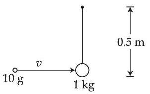 JEE Main 2021 (Online) 27th August Evening Shift Physics - Center of Mass and Collision Question 53 English
