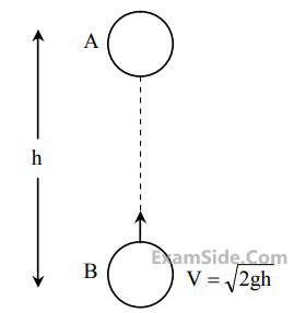 JEE Main 2020 (Online) 8th January Evening Slot Physics - Center of Mass and Collision Question 86 English Explanation