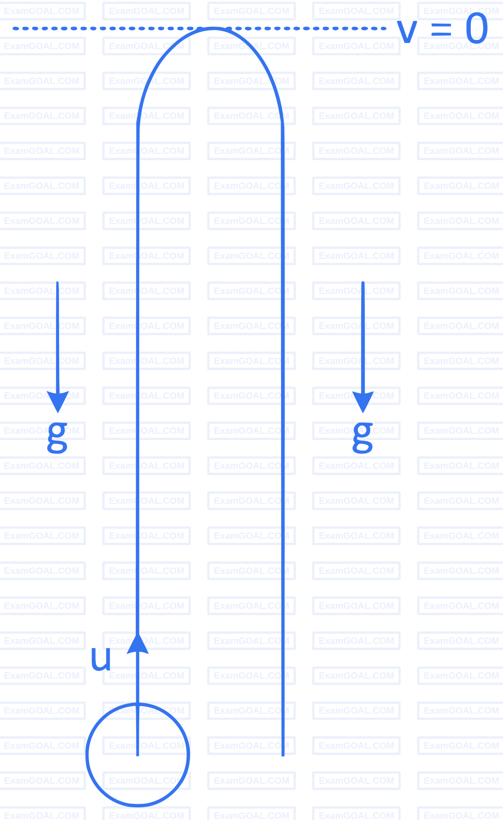 JEE Main 2022 (Online) 26th June Morning Shift Physics - Center of Mass and Collision Question 43 English Explanation