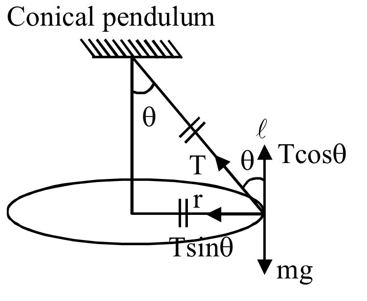 JEE Main 2021 (Online) 26th August Evening Shift Physics - Circular Motion Question 52 English Explanation