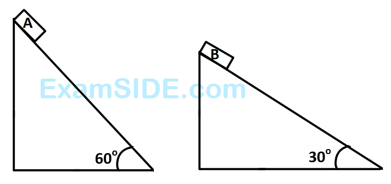 AIEEE 2010 Physics - Laws of Motion Question 131 English