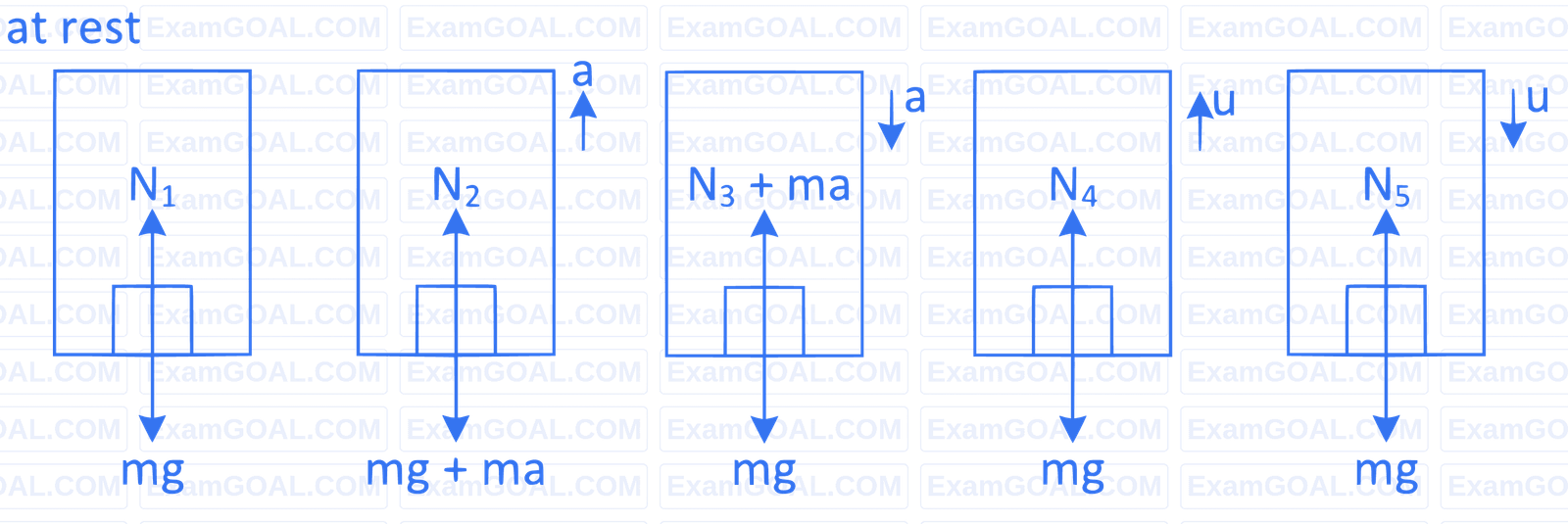 JEE Main 2022 (Online) 26th June Morning Shift Physics - Laws of Motion Question 76 English Explanation