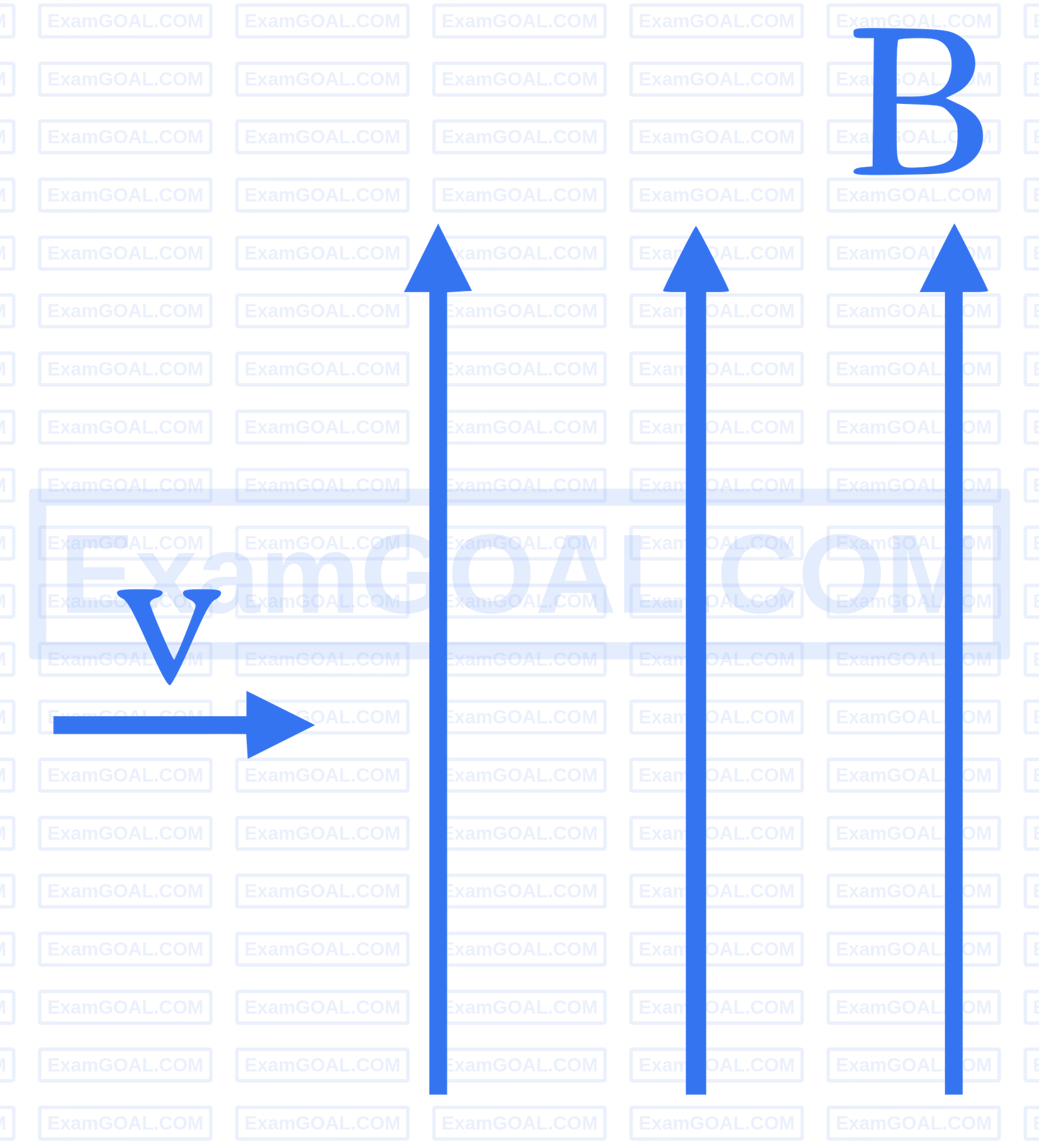 JEE Main 2025 (Online) 7th April Morning Shift Physics - Magnetic Effect of Current Question 13 English Explanation 1