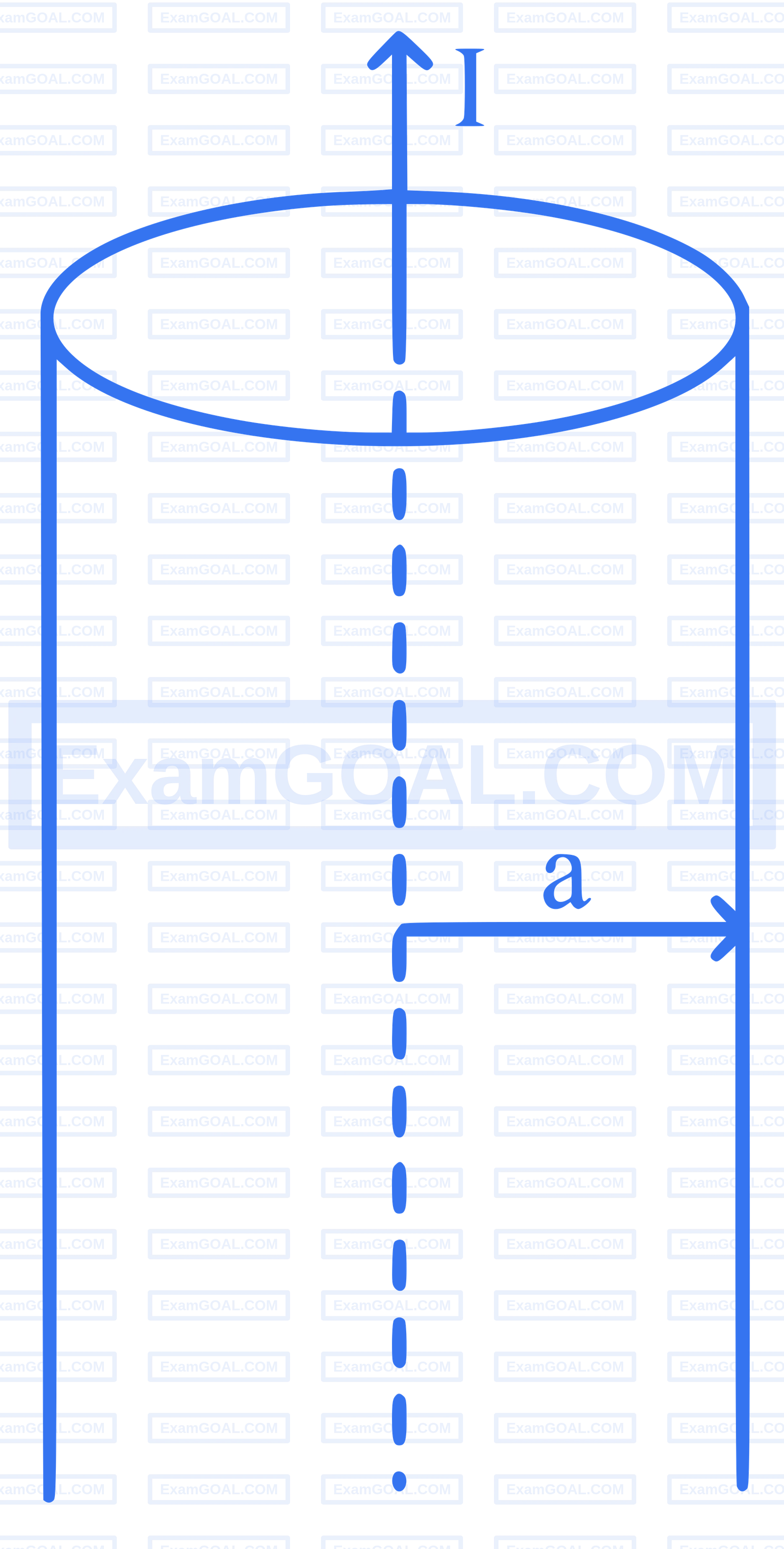 JEE Main 2025 (Online) 24th January Evening Shift Physics - Magnetic Effect of Current Question 20 English Explanation