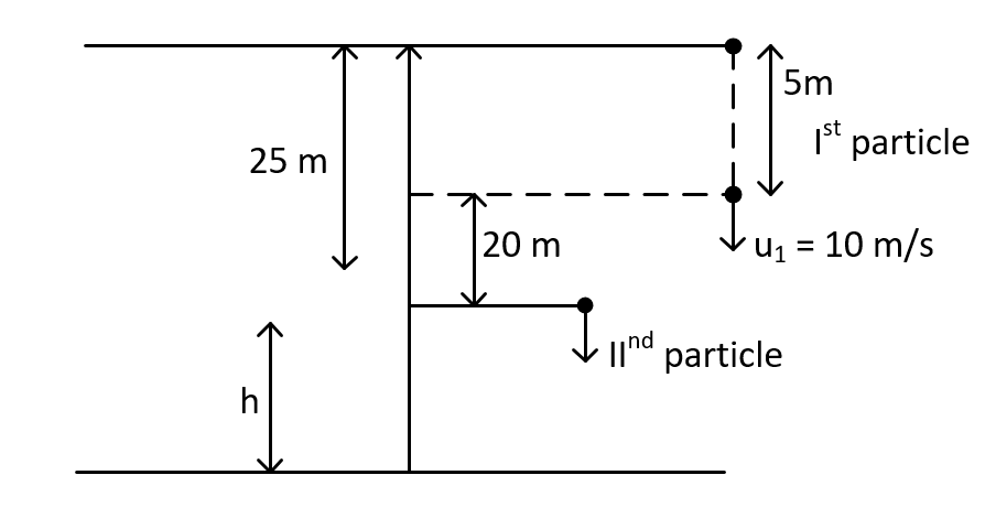 JEE Main 2021 (Online) 25th February Evening Shift Physics - Motion in a Straight Line Question 81 English Explanation