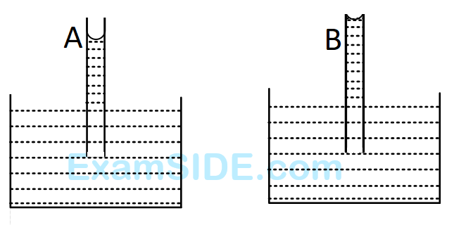 AIEEE 2008 Physics - Properties of Matter Question 275 English Option 2