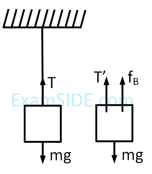 JEE Main 2019 (Online) 12th January Evening Slot Physics - Properties of Matter Question 252 English Explanation