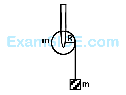 JEE Main 2014 (Offline) Physics - Rotational Motion Question 232 English